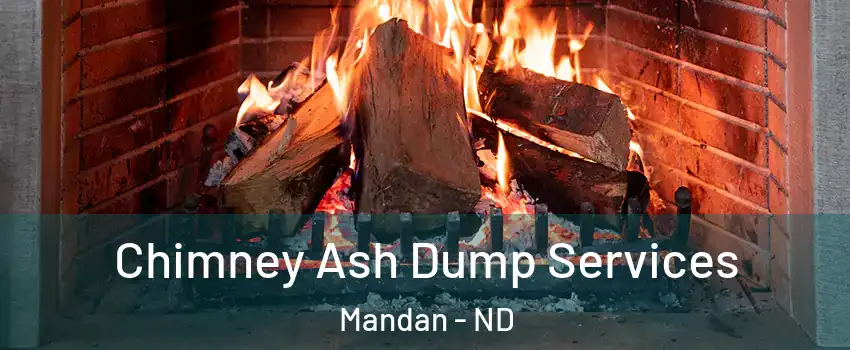  Chimney Ash Dump Services Mandan - ND
