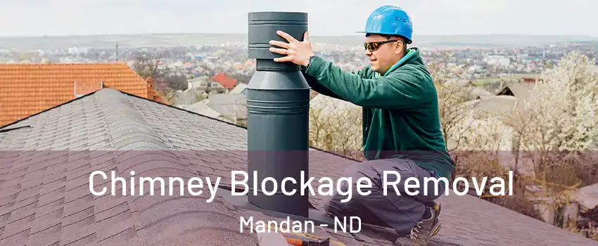  Chimney Blockage Removal Mandan - ND