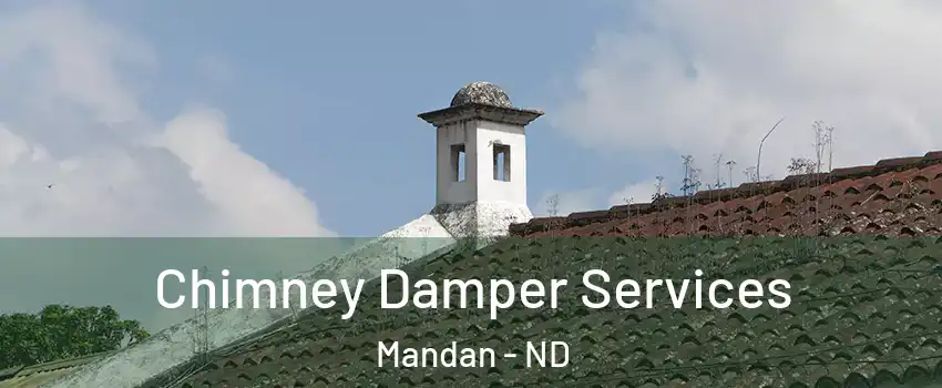  Chimney Damper Services Mandan - ND