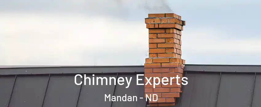 Chimney Experts Mandan - ND