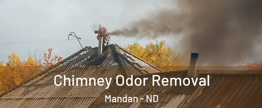  Chimney Odor Removal Mandan - ND