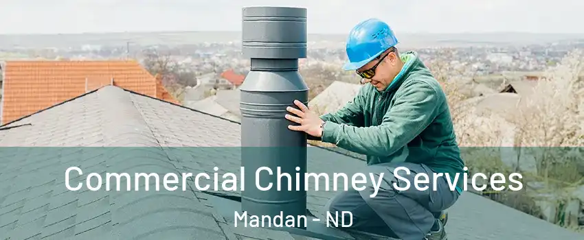  Commercial Chimney Services Mandan - ND