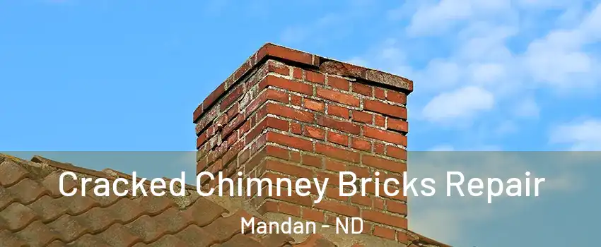  Cracked Chimney Bricks Repair Mandan - ND