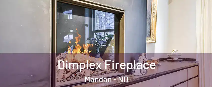  Dimplex Fireplace Mandan - ND