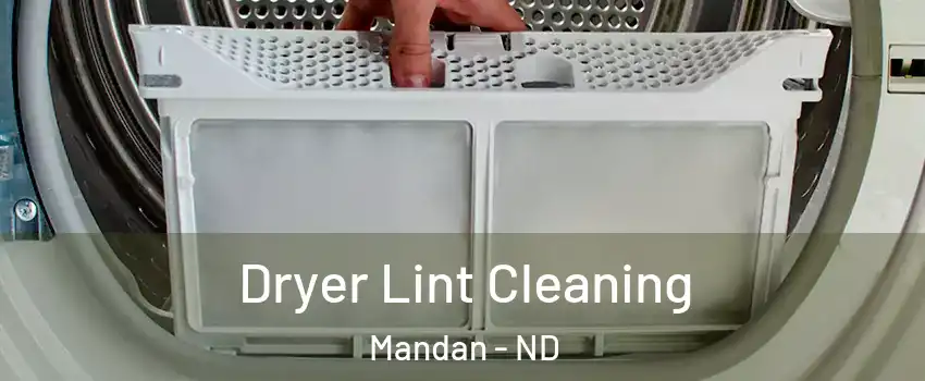 Dryer Lint Cleaning Mandan - ND
