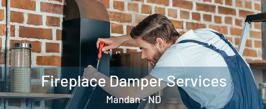  Fireplace Damper Services Mandan - ND