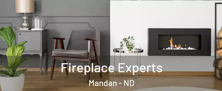  Fireplace Experts Mandan - ND