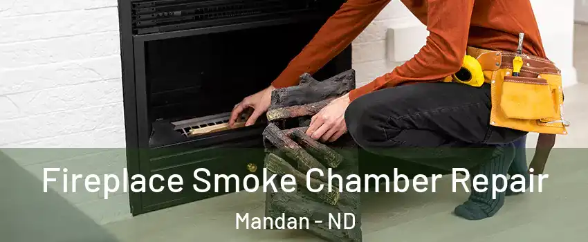  Fireplace Smoke Chamber Repair Mandan - ND