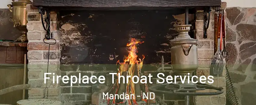  Fireplace Throat Services Mandan - ND