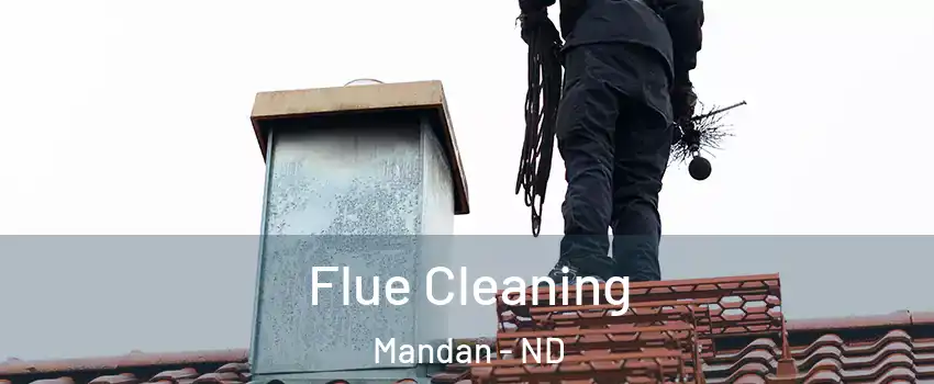  Flue Cleaning Mandan - ND