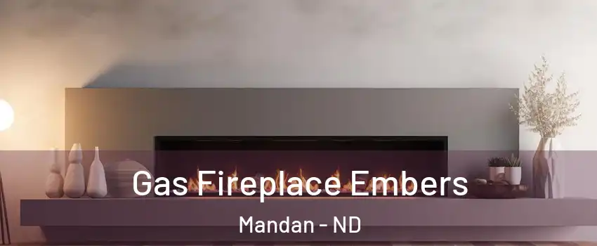  Gas Fireplace Embers Mandan - ND