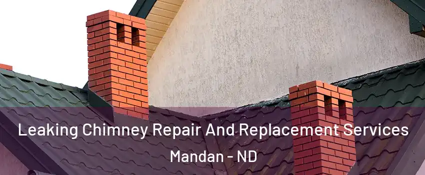  Leaking Chimney Repair And Replacement Services Mandan - ND