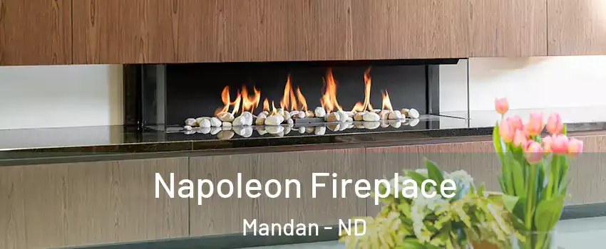  Napoleon Fireplace Mandan - ND