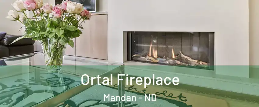Ortal Fireplace Mandan - ND